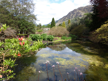 link to Photo Album of Benmore Botanic Garden